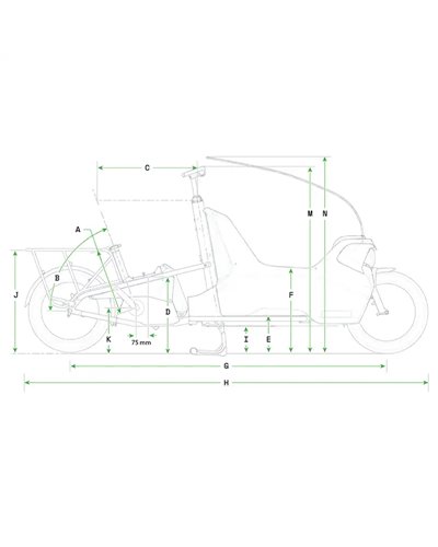 Cannondale Wonderwagen Neo 2 e-Cargo Shimano Deore 10v Bosch Cargo Line 545Wh, Grigio (GRY)
