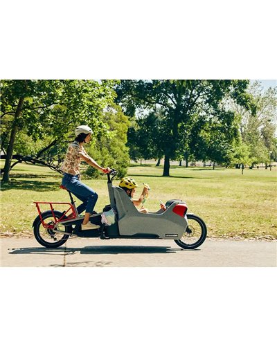 Cannondale Wonderwagen Neo 2 e-Cargo Shimano Deore 10s Bosch Cargo Line 545Wh, Grey (GRY)