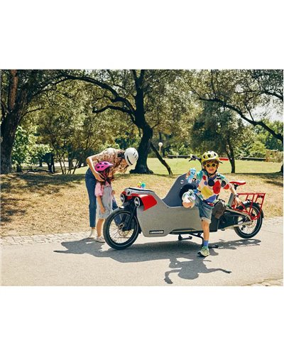 Cannondale Wonderwagen Neo 2 e-Cargo Shimano Deore 10v Bosch Cargo Line 545Wh, Grigio (GRY)
