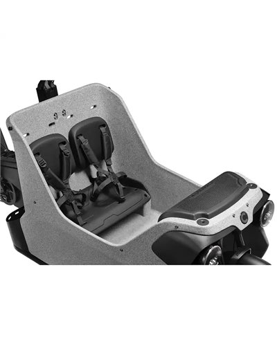 Cannondale Wonderwagen Neo 2 e-Cargo Shimano Deore 10s Bosch Cargo Line 545Wh, Grey (GRY)