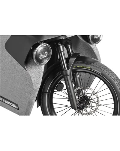 Cannondale Wonderwagen Neo 2 e-Cargo Shimano Deore 10s Bosch Cargo Line 545Wh, Grey (GRY)