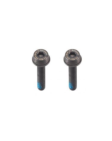 Campagnolo AC18-DBSC29 2x29mm Fixing Screws (20-24mm Rear Mount Thickness)