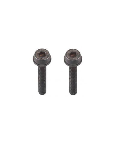 Campagnolo AC18-DBSC34 2x34mm Fixing Screws (25-29mm Rear Mount Thickness)