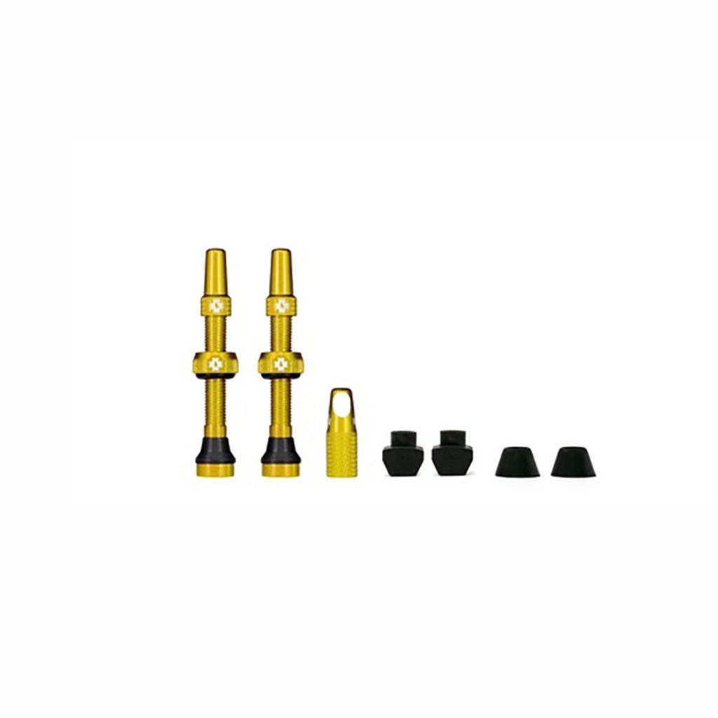 Valvole Tubeless