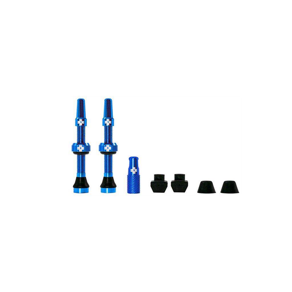 Tubeless Valve