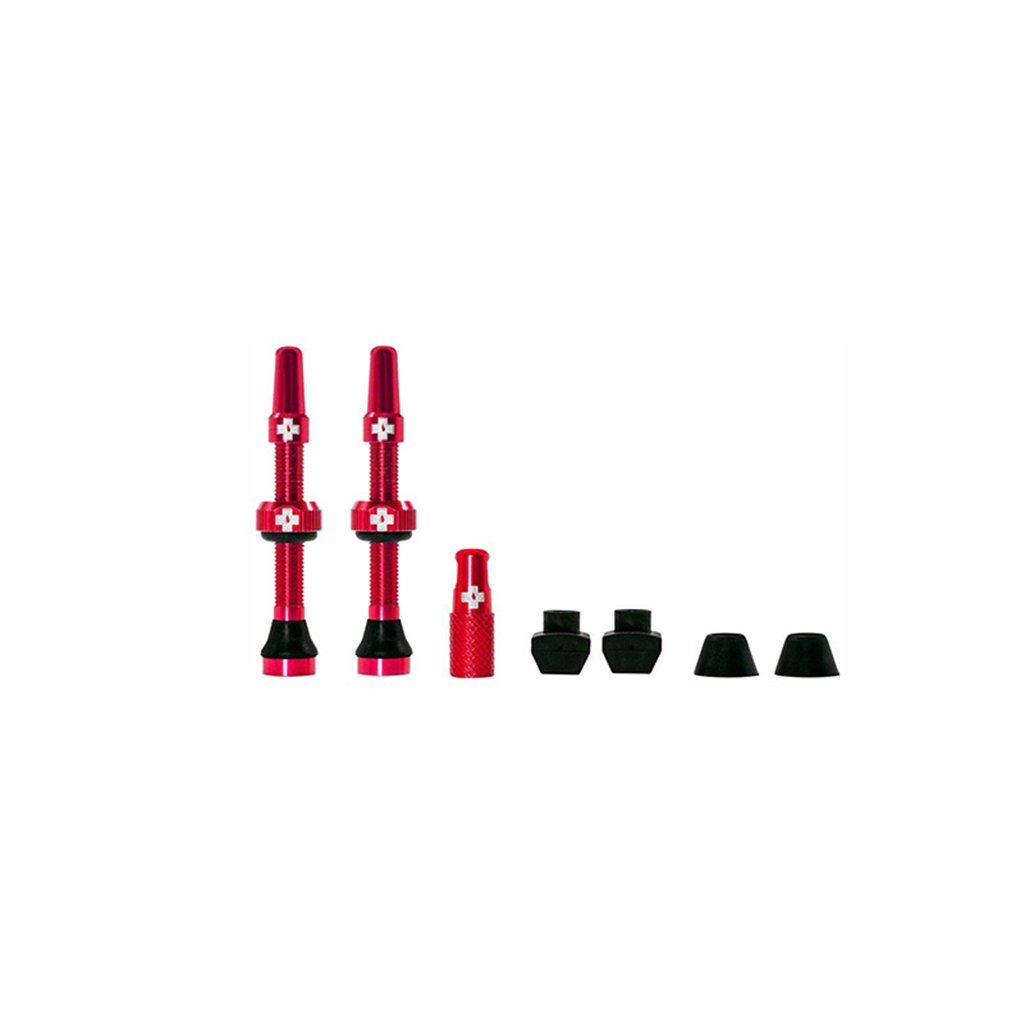 Tubeless Valve