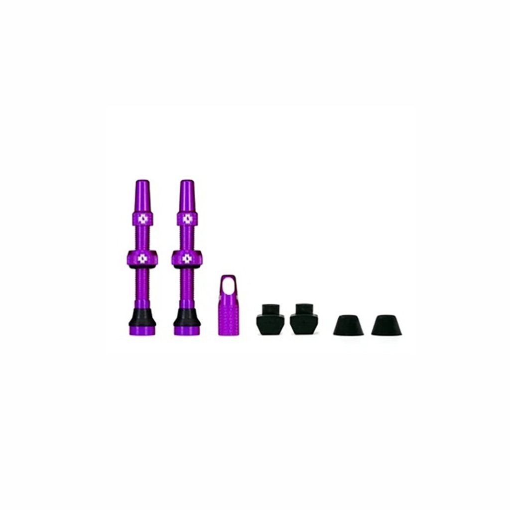 Valvole Tubeless