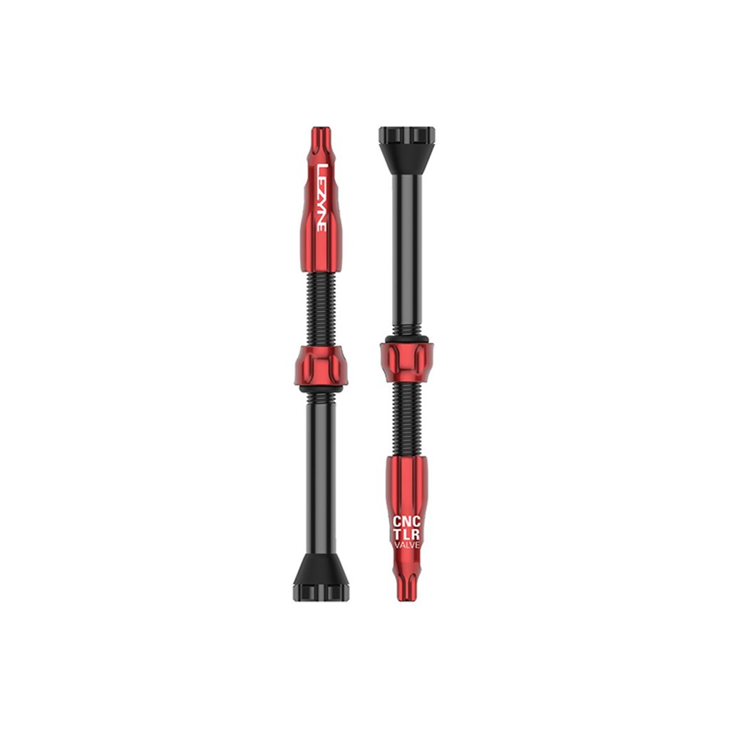 Tubeless Valve