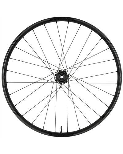 Race Face Turbine R 30 29" e-MTB Boost 6-bolt Wheelset