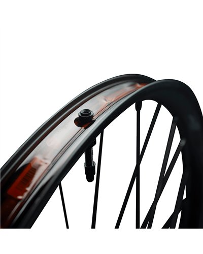 Race Face Turbine R 30 29" e-MTB Boost 6-bolt Wheelset