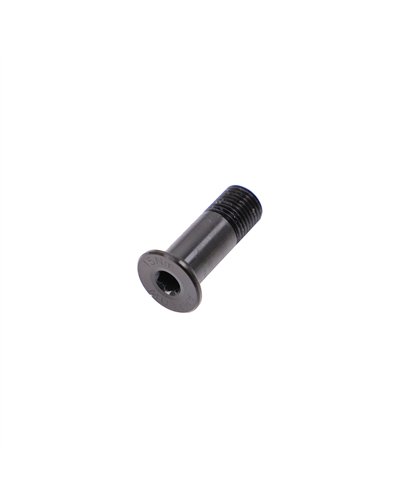 Amflow Hook Claw Pivot Screw (HEX - M10X21) - PL Carbon/PL Carbon Pro e-Bikes
