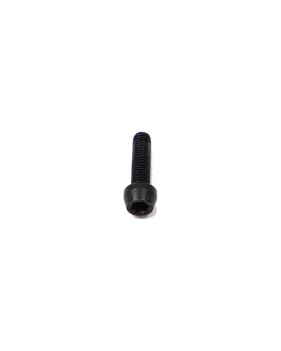 Amflow Screw (M5X18) - PL Carbon/PL Carbon Pro e-Bikes