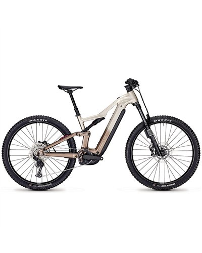 Focus Thron² 6.8 ABS Shimano Deore 12v - Bosch Performance CX 800Wh, Adamant Silver/Platinum Bronze