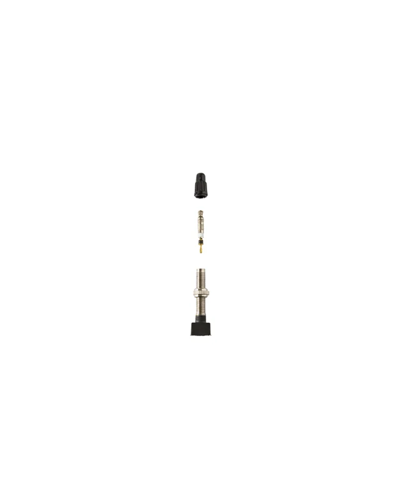 Tubeless Valve