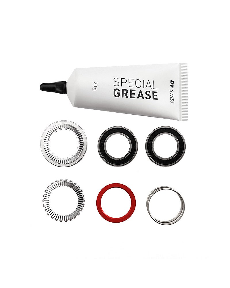DT Swiss Kit Manutenzione Ratchet 54D EXP 240 + Grasso Speciale 20g