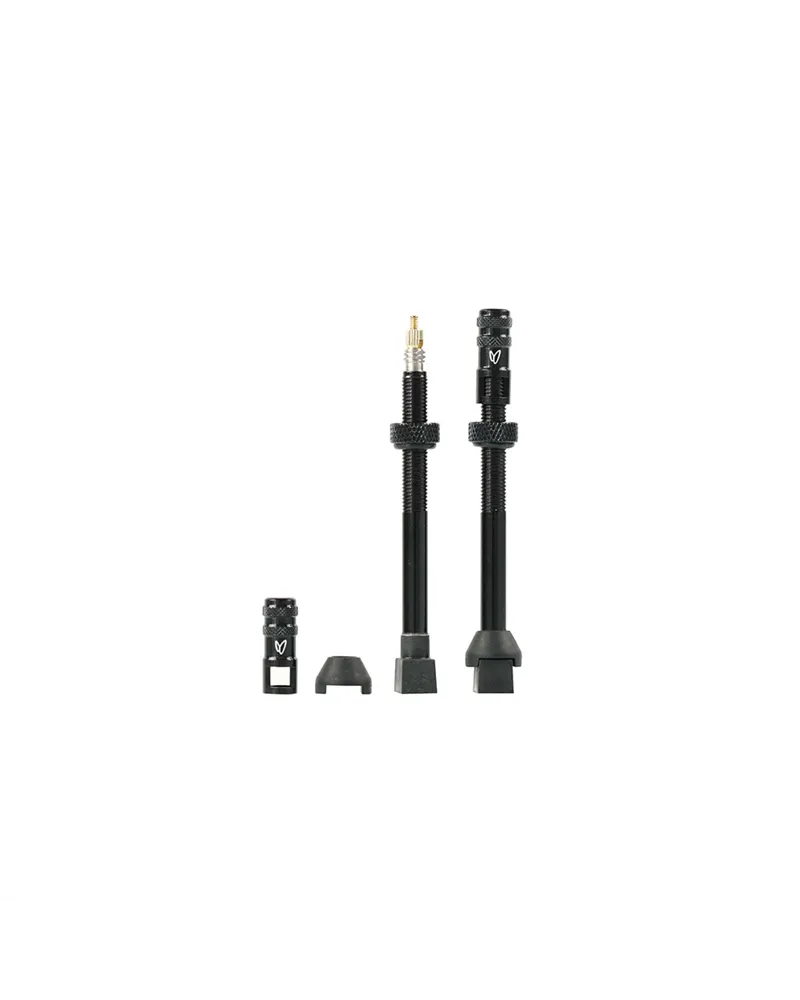 Valvole Tubeless