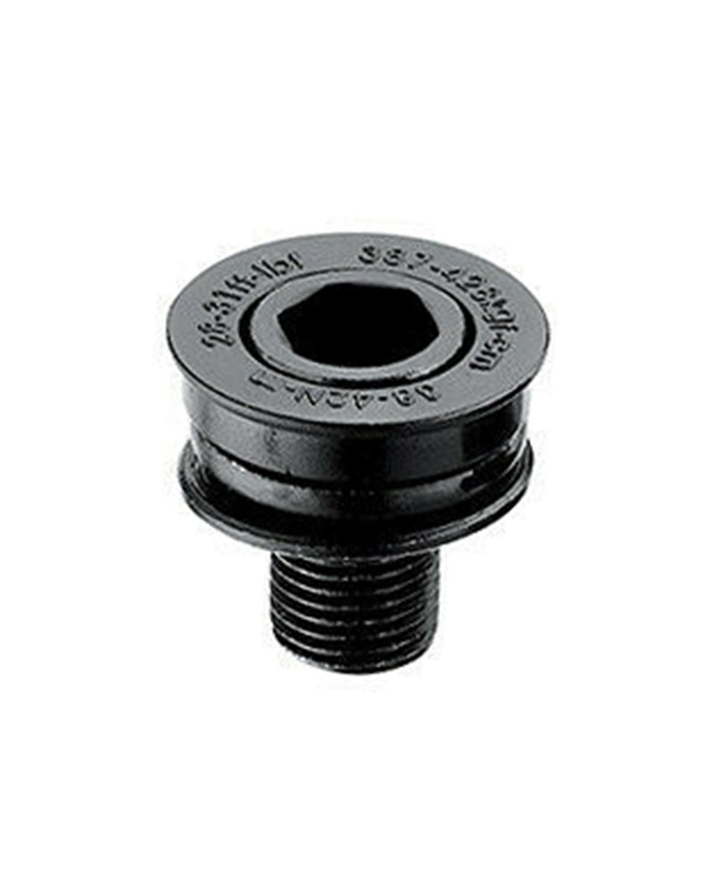 RMS Bolt Fro Crank e-Bike M15
