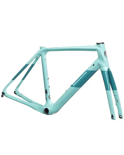 Bianchi Kit Telaio Infinito CV Carbon Disc, IC CK16/Dark Turquoise Glossy MY22