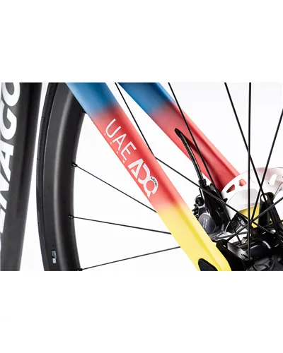 Colnago V4RS Disc - WT24