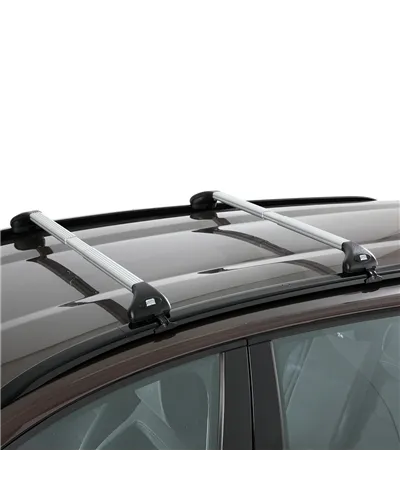 Fabbri Alu Viva 2 RC Silver - Roof Bars