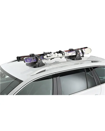 Fabbri Sko - Magnetic Ski Racks