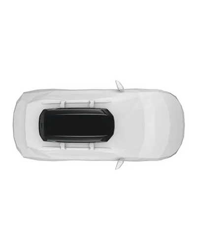 Thule Force XT Alpine Roof-Mounted Cargo Box 420 Liters Dual-Side, Black Matte