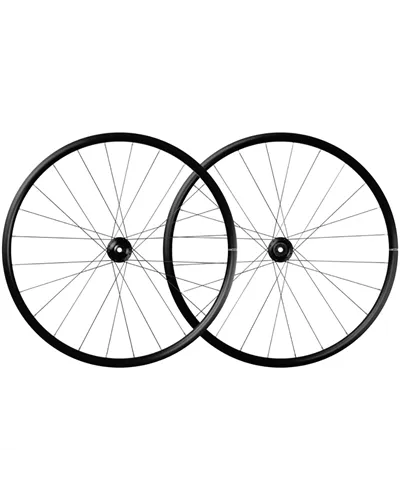 Mavic Aksium 1 Disc, Coppia Ruote