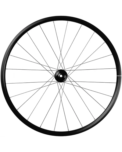 Mavic Aksium 1 Disc, Wheelset