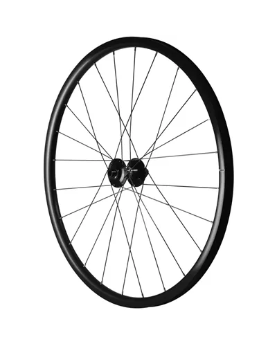 Mavic Aksium 1 Disc, Wheelset