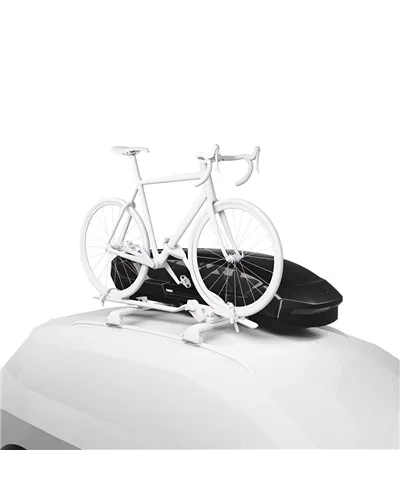 Thule Motion 3 Sport Box da Tetto 300 Litri Doppia Apertura, Nero Lucido