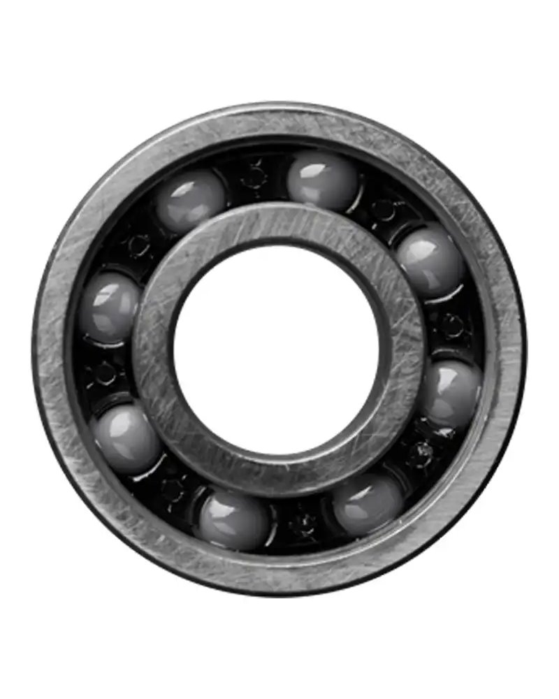 CeramicSpeed 101199 Cuscinetti 6001