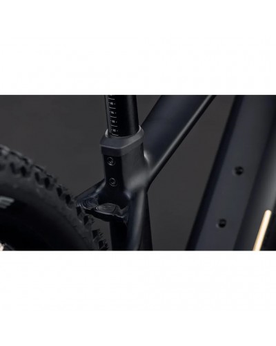 Cube Reaction Hybrid Pro 800 29" e-MTB Shimano XT 12v Bosch CX 800Wh, Blackline