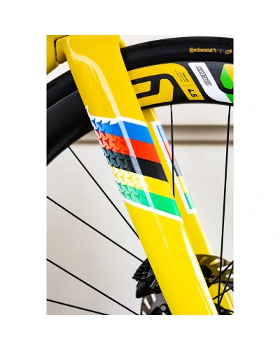 Colnago Y1RS Disc Tour de France LTD Shimano Dura-Ace 12v - Enve WS SES 4.5 - YSYL