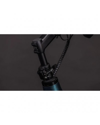 Cube Longtail Hybrid 800 26" e-Bike Shimano Cues 11sp Bosch Cargo 800Wh, Royalgreen/Black