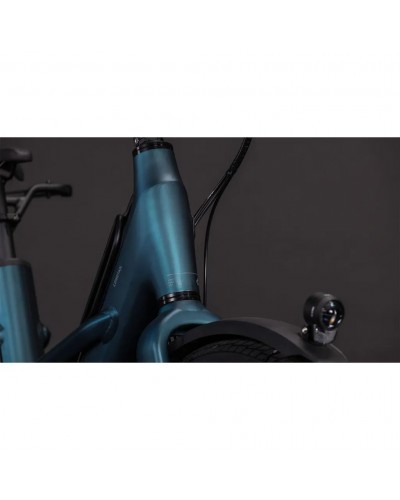 Cube Longtail Hybrid 800 26" e-Bike Shimano Cues 11sp Bosch Cargo 800Wh, Royalgreen/Black