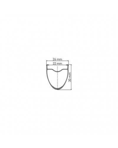 DT Swiss E 1800 Spline Ratchet 700C CL 30 - Coppia Ruote