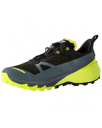 Dynafit Traverse 2 GTX Gore-Tex Scarpe Alpine Running Uomo, Hurricane/Black Out