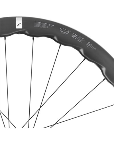 Fulcrum Soniq 42 DB AFS 2WF C25 (Wheelset)
