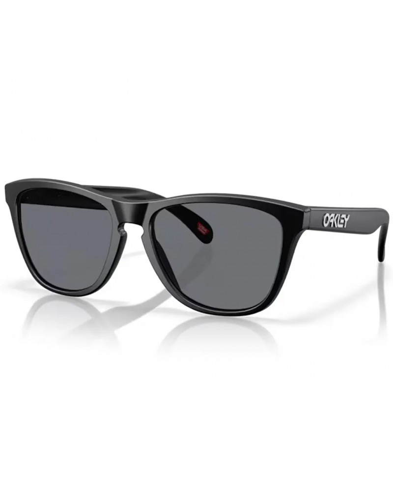 Oakley Frogskins Glasses Matte Black/Grey