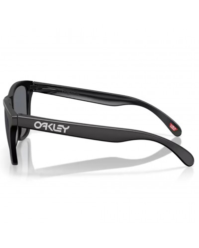 Oakley Frogskins Glasses Matte Black/Grey