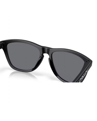Oakley Frogskins Glasses Matte Black/Grey