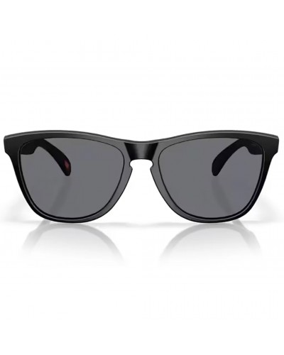 Oakley Frogskins Glasses Matte Black/Grey