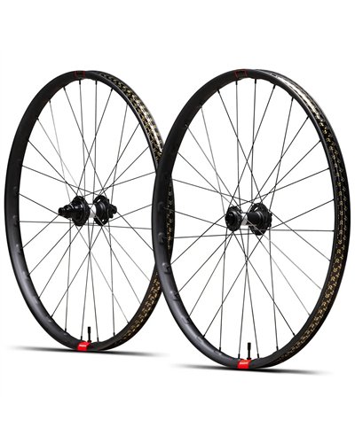 Reserve 30|HD Carbon 29 Mozzo DT 350 DEG 90T 6 Fori, Coppia Ruote