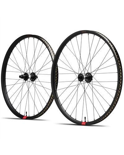 Reserve 30|HD AL 29 Mozzo DT 350 DEG DF 6 Fori, Coppia Ruote