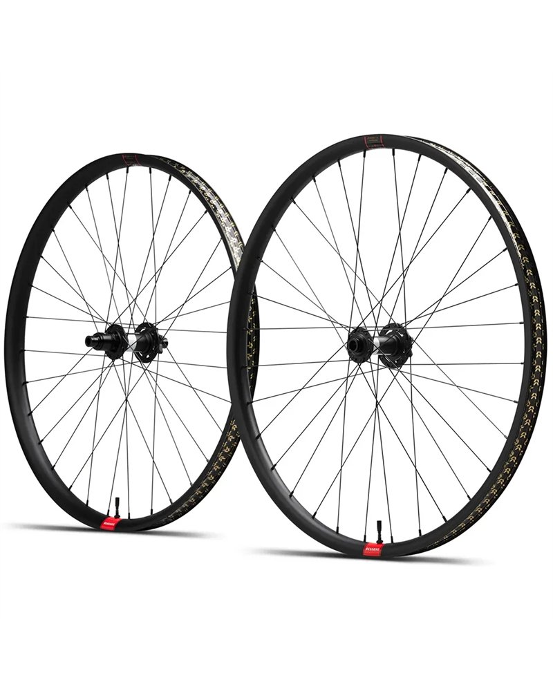 e-Bike MTB