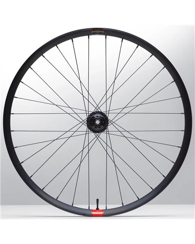 Reserve 30|HD AL 29 Mozzo DT 350 DEG DF 6 Fori, Coppia Ruote