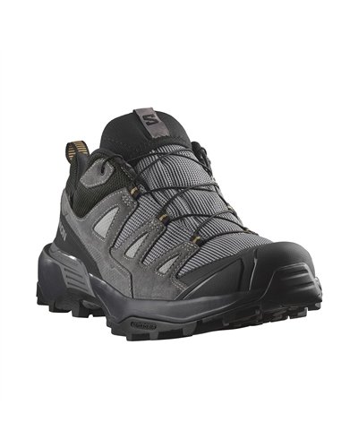 Salomon X Ultra 360 Leather GTX Gore-Tex Men's Trekking Shoes, Sharkskin/Castlerock/Kelp