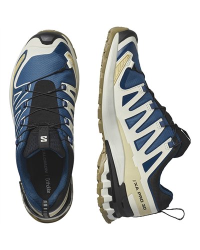 Salomon Xa Pro 3D V9 GTX Gore-Tex Men's Trail Running Shoes, Dark Blue/Icicle/Aloe