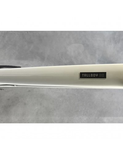Santa Cruz Tallboy 4 CC 29 Sram Eagle GX 12v Taglia XL, Ivory (USATO - TEST)