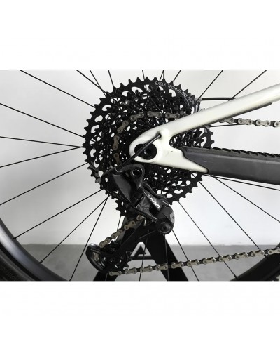 Santa Cruz Tallboy 4 CC 29 Sram Eagle GX 12v Taglia XL, Ivory (USATO - TEST)